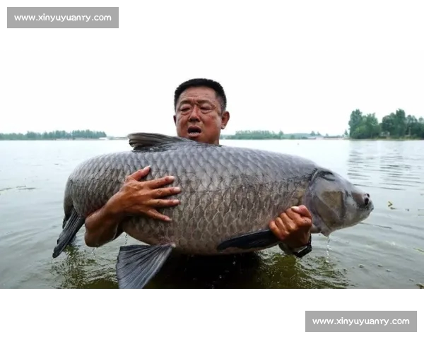 体育比赛分析中的关键注意事项及技巧指南